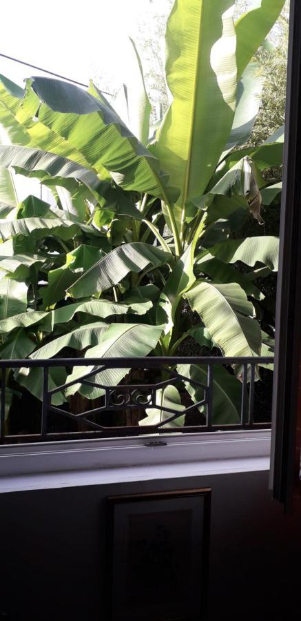 페리괴 Cote Jardin B&B 외부 사진